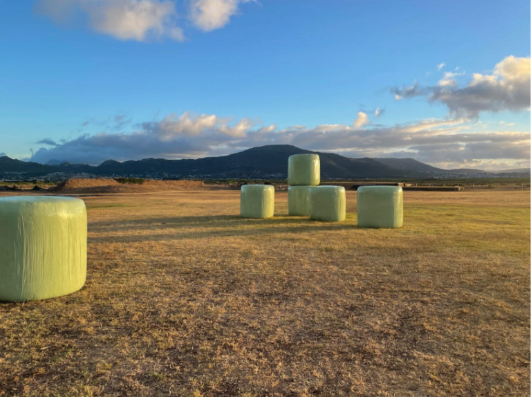 Fält med flera inplastade ensilagebalar, berg och moln i bakgrunden under blå himmel.